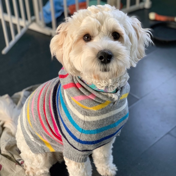 Meet your Posher: Allison - Picture 4 of 5